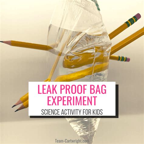 leak proof bag experiment|Leak